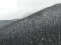 Okolitá príroda v zime